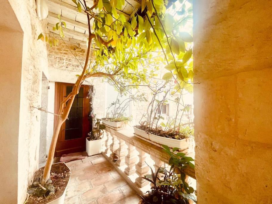 Evasion Urbaine**** Apartment Nimes Ngoại thất bức ảnh
